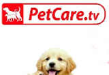 안락사는 싫어요!!! PetCare TV
