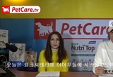 "푸들의 완전 정복 완전 대박 입니다"
